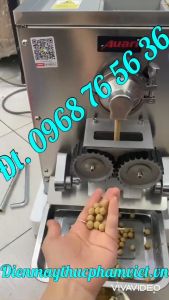 Máy Làm Viên Hoàn Tự Động