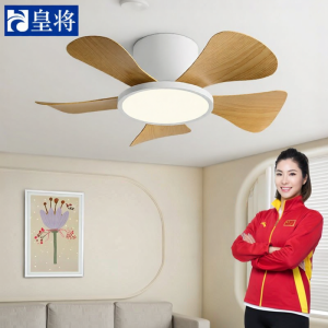 HUANGJIANG | Integrated Fan and Light for Small Spaces 30 Inch