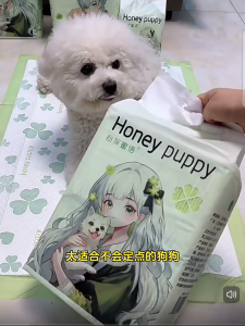 HONEY PUPPY: Fresh Spring Pet Sheets (M/L) - With scented fragrance & adhesive floor tapes. Polymer gel layer. Extra absorbent.