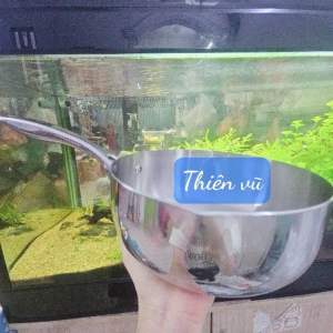 Chảo inox 304 ba lớp nguyên khối Ticook chảo sâu lòng inox 304