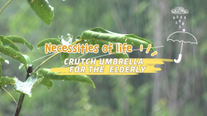 Crutch Umbrella Walking Stick Anti Slip Rubber Handle Elderly Support Rain Protection
