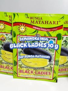 Benih Semangka Inul Kuning Black Ladies 10 gram Cap Bunga Matahari dataran rendah unggul bibit biji buah lonjong panjang berbiji hydroponik hidroponik