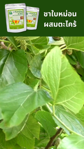 ชาใบหม่อนผสมตะไคร้ ตราไร่กฤติยา (Mulberry Lemongrass Blended Leaf Tea)