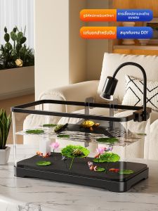 HUICHONG | Bể Nuôi Rùa Sinh Thái Có Nền Nâng Được và Hệ Thống Xả Nước