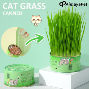 AIMAYAPET Pet Cat Grass Digestion Canned Plant Growing Tray Cat Snack Cat Mint Planting Hydroponic Box Planting Bowl