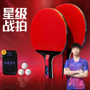Double Fish | Beginner Professional Ping Pong Racket 56 Star Rubber