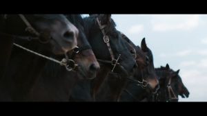 USB China Drama 5 in 1 初恋那件小事 + 不能恋爱的秘密 + 我亲爱的小洁癖 + 星汉灿烂·月升沧海 + 爱情应该有的样子 华语中字 Chinese subtitle 大陆剧