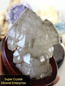 Natural Precious Brazil Skeletal Alligator Smoky Quartz Crystal Ornament SK16