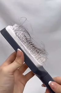 RETRACTABLE HAIR COMB ORIGINAL DZ