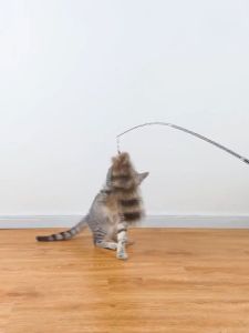 [SG SELLER] Funny Cat Stick Long Rod Fox Tail Funny Cat Stick 1.8M Super Long Retractable Feather Bell Stick Bite-Resistant Cat Toy