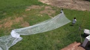 Greenhouse Garden fruit Net 70mesh Plant Vegetable Insect Net Protection Cover Anti-Birds Net Jaring Putih Buah防虫网