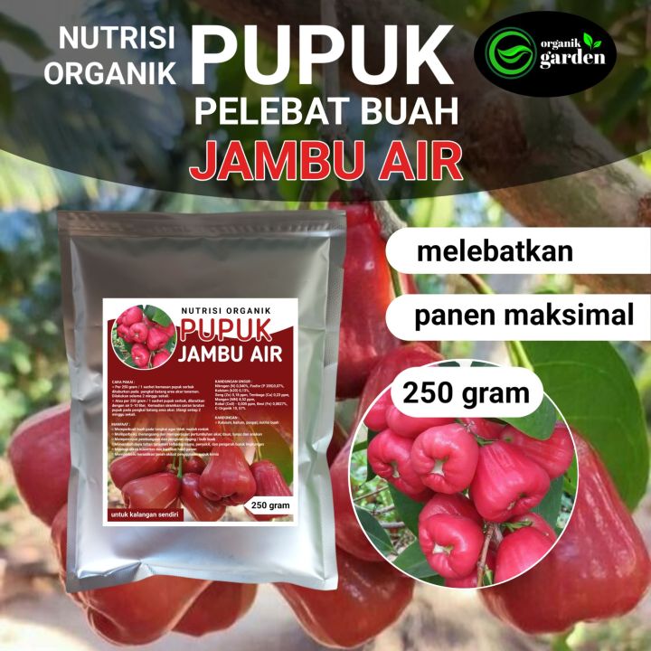 Pupuk Pelebat Buah Jambu Air Booster Nutrisi Organik Gram Lazada Indonesia