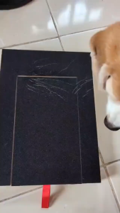 Dog Nail File Board Wooden Sandpaper Dog Scraper Box Dog Nail Care File Trimmer Board