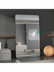 Dance Fitness Floor Standing Mirror