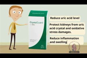 100% Original THE PrimAGE CrystaGuard [Uric Acid & Gout] (60 veg caps)