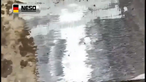 Batu Kinik 4" x 6mm potong poles gerinda