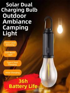 BEAUTY IN THE LIGHT | Solar Retro 2026 New LED Light Bulb