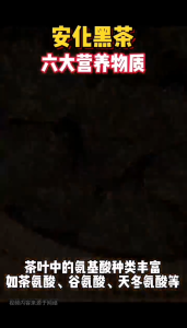 MYG DARK TEA茗缘閣 安化黑茶 (8G) 1BAG