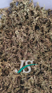 Daun Kenikir Kering 50gram (MURNI DAUN) Tidak Sama Batang Atau Tangkainya