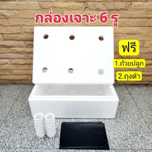 กล่องโฟมปลูกผัก กล่องกุ้ง ปลูกผักไฮโดร ขนาด 10 กก เจาะรูพร้อมปลูก แถมถุงดำพอดีกล่องและถ้วยขาวเกรด A จำนวนเท่ารูเจาะ