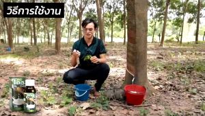 Dose อาหารเสริมพืช - เร่งผลผลิต พืช ป้องกันเชื้อรา 1 ขวด 1090