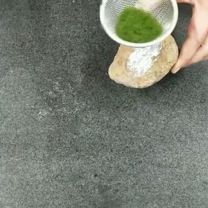 【Local Warehouse】Artificial Grass Powder Micro Landscape Decoration Home Garden DIY Accessories Building Model Materials Artificial Green Plants Simulation Moss Grass Turf Lawn Artificial Moss Green Fake Plant for Home Garden Wall Decor Micro Landscape