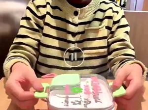 TEDEMEI LUNCH BOX KOTAK MAKAN TEDEMEI PLASTIK STAINLESS KOTAK BEKAL MAKAN BENTO BOX