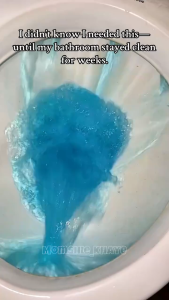 Automatic Toilet Bowl Cleaner Auto Releasing Dirt Removal 10 years Dont need Brush Toilet Sterilization toilet flush deodorizer