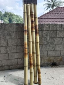TOGKAT P 1 MTR BAMBU CENDANI OPEN BERSIH
