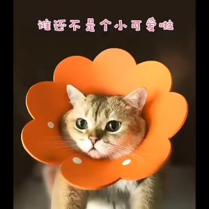 Kerah Pemulihan Kucing Penutup Perawatan Anjing Hewan Peliharaan Anti-Menjilat Bentuk Bunga