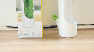 Wadah Penyimpanan Sayuran Herbal Peterseli Kucai Daun Bawang Kemangi Mint Asparagus