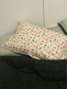 Pure Cotton Comfortable Skin-friendly Sleeping Pillowcase Korean Style  Country Style Bedding 48*74 Infant Shuttle Weave