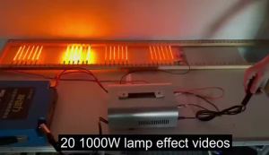 Susan inverter pac12volt setrum platina 2000 watt perlindungan sirkuit pendek daya tinggi elektronik