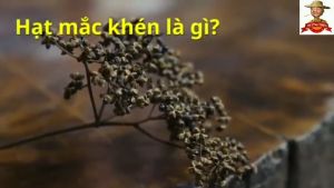 Hạt Mắc Khén Rừng Tây Bắc (Siêu Thơm) Gia Vị Tây Bắc Mường Then Hạt Mắc Kén Dùng Ứớp Món Ăn Chấm Đồ Nướng