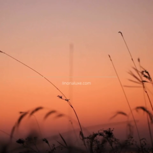 South Red Agate Handcrafted Bracelet I 南红精工直切手串 – 贴肤佩戴（通经络，行气血）