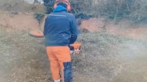 ใบมีดตัดหญ้าคุณภาพสูง HHW เยอรมนี ยาว 12 นิ้ว หนา 3 มิลลิเมตร By Junery Shop