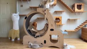 Greenpets Cat Treadmill Wooden Cat Tree with Circular Treadmill and Paw Cutouts for Exercise and Play Silent roller Pet fitness Anti-pinch toe Exercise running wheel