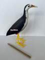 Patung Burung Truwok Kareo Padi - Jontrot burung ruak ruak. 