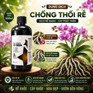 Phân Bón Chuyên Biệt Cho Hoa Lan - Kích Rễ Tăng Trưởng Mạnh Kích Hoa Ngừa Thối Rễ - Phân Bón Vi Sinh Cho Lan