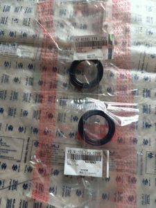 SEAL 30X42X4.5 SEL SIL MAGNET BESAR ASTREA GRAND SIL SUPRA IMPRESSA FP-91201-179-1200