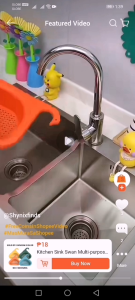 Luckylkh Kitchen Sink Swan Multi-Purpose Drain Basket for Cleaning Fruits and Vegetables Plastic