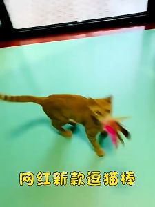 Kalung Mainan Tongkat Penggoda Kucing /Cat Teaser Stick