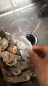 560W Food Waste Disposer: A Comprehensive Guide