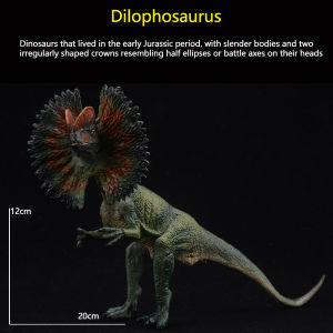 Jurassic Dinosaur Figurines Set - Dilophosaurus & Velociraptor Animal Models Action Figures Collection Toy for Kids