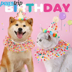 Colorful Dog Cat Birthday Hat Adjustable Cat Birthday Scarf Hat Set Cute Dog Bib Pet Birthday Party Dress Up Hat Dog Accessories