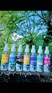 HANEL FRESH PARFUM LAUNDRY PREMIUM (spray 100ml)