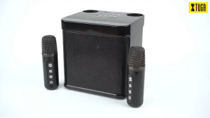 High-Quality Bluetooth Karaoke Speaker with Wireless Microphones Built-in Battery Universal Plug