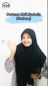 Premium Dried Blueberry Organic-Buah Blueberry Kering Unsweetened