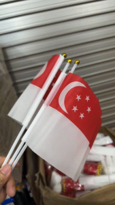 100pcs Singapore flag Waving Hand National flag NDP Plastic Cloth National Day Party Celebration Wave Mini Flag Red White