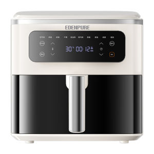 Steam & Air Fry Oven